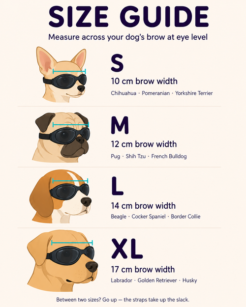 Adjustable Dog Sunglasses | Anti-UV Pet Goggles